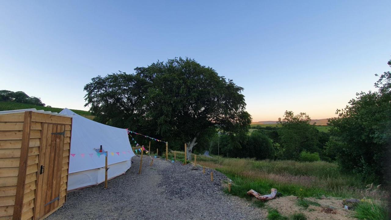 فندق Calon Y Goedwig Glamping لياندوفيري المظهر الخارجي الصورة