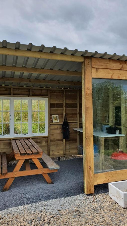فندق Calon Y Goedwig Glamping لياندوفيري المظهر الخارجي الصورة