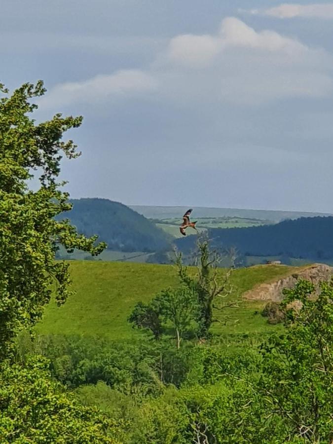 فندق Calon Y Goedwig Glamping لياندوفيري المظهر الخارجي الصورة