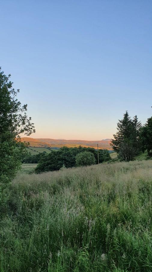 فندق Calon Y Goedwig Glamping لياندوفيري المظهر الخارجي الصورة