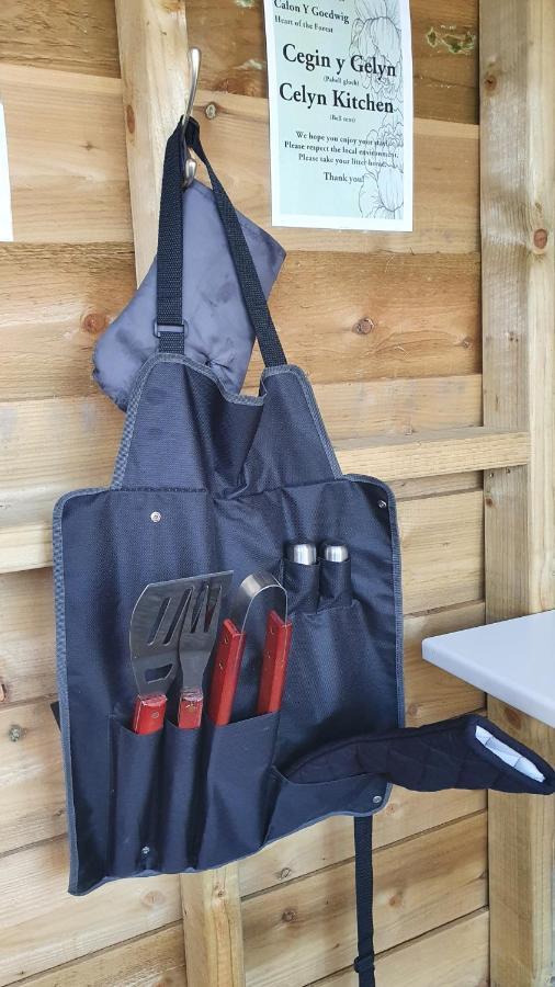 فندق Calon Y Goedwig Glamping لياندوفيري المظهر الخارجي الصورة