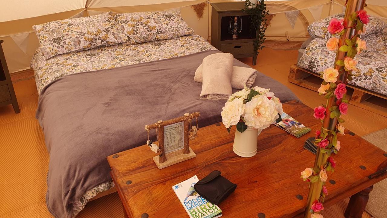 فندق Calon Y Goedwig Glamping لياندوفيري المظهر الخارجي الصورة