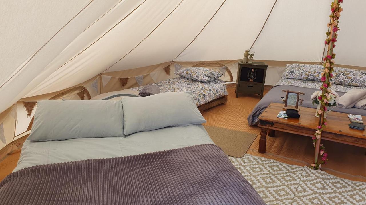 فندق Calon Y Goedwig Glamping لياندوفيري المظهر الخارجي الصورة