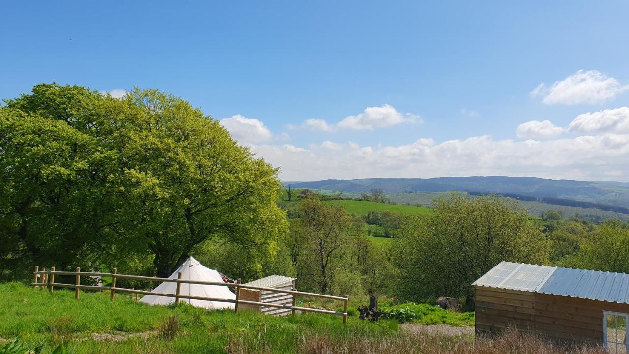 فندق Calon Y Goedwig Glamping لياندوفيري المظهر الخارجي الصورة