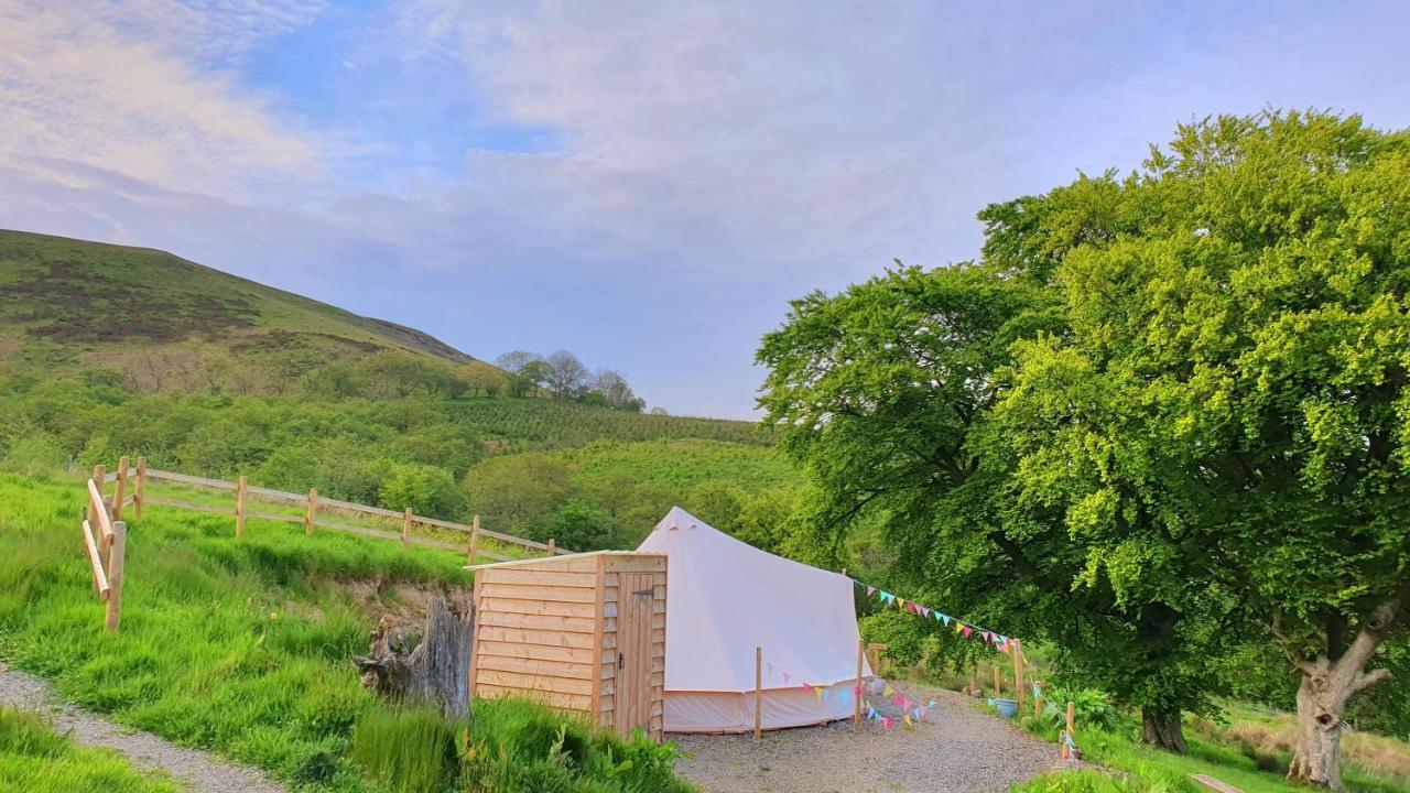 فندق Calon Y Goedwig Glamping لياندوفيري المظهر الخارجي الصورة