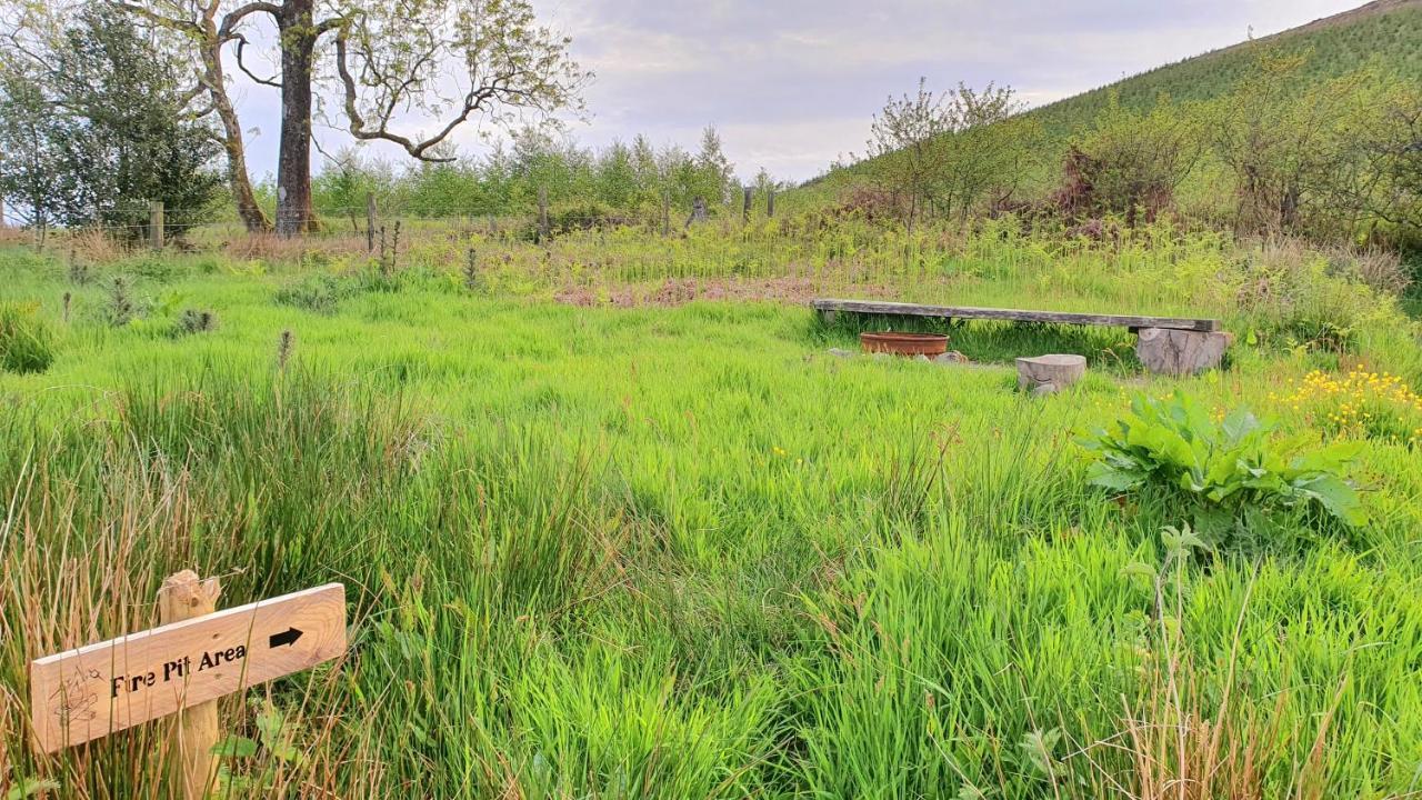 فندق Calon Y Goedwig Glamping لياندوفيري المظهر الخارجي الصورة