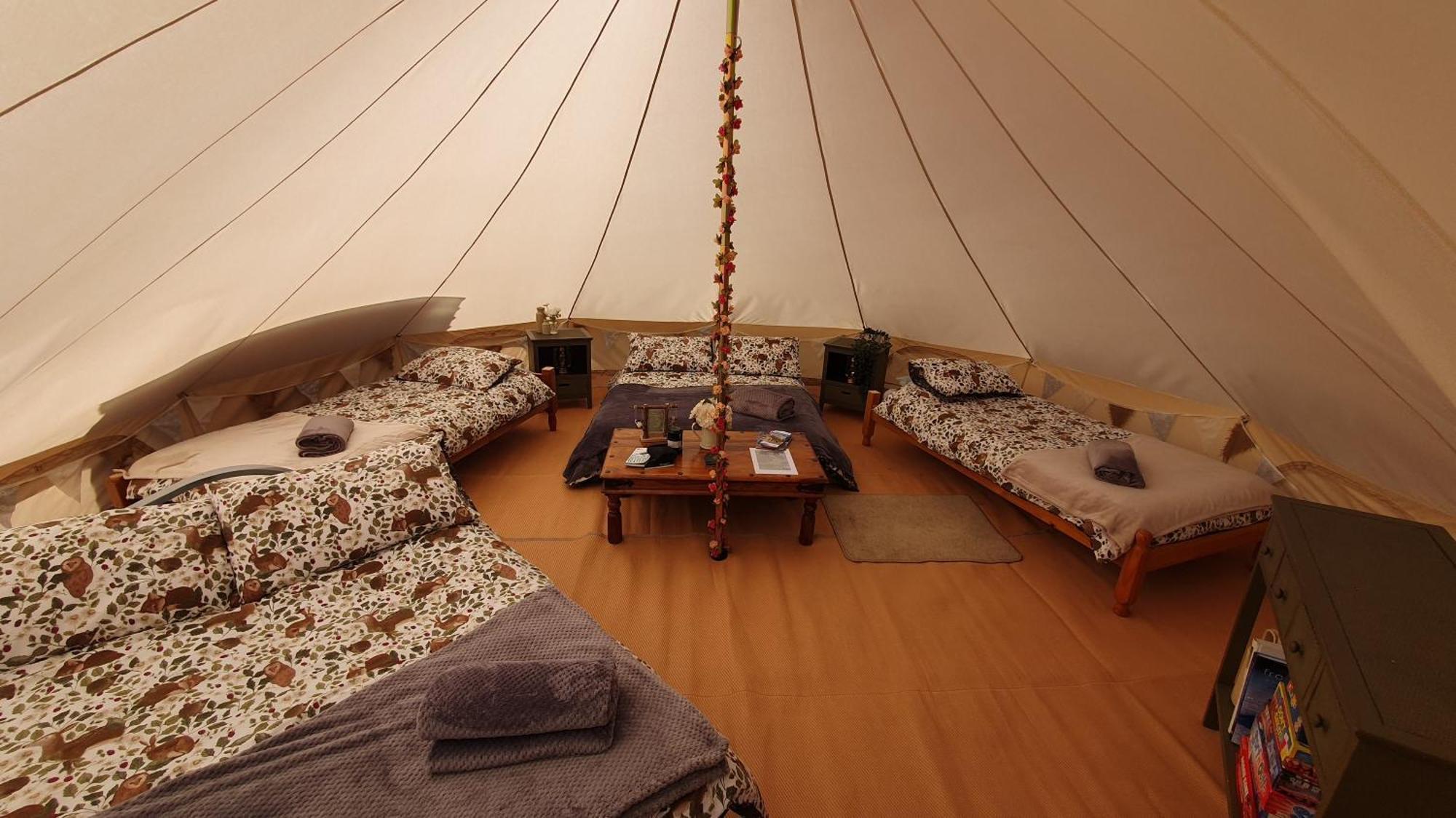 فندق Calon Y Goedwig Glamping لياندوفيري المظهر الخارجي الصورة