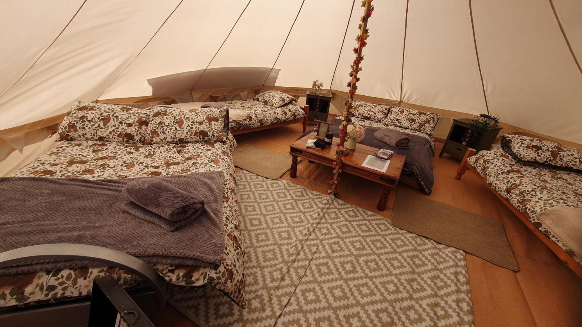 فندق Calon Y Goedwig Glamping لياندوفيري المظهر الخارجي الصورة