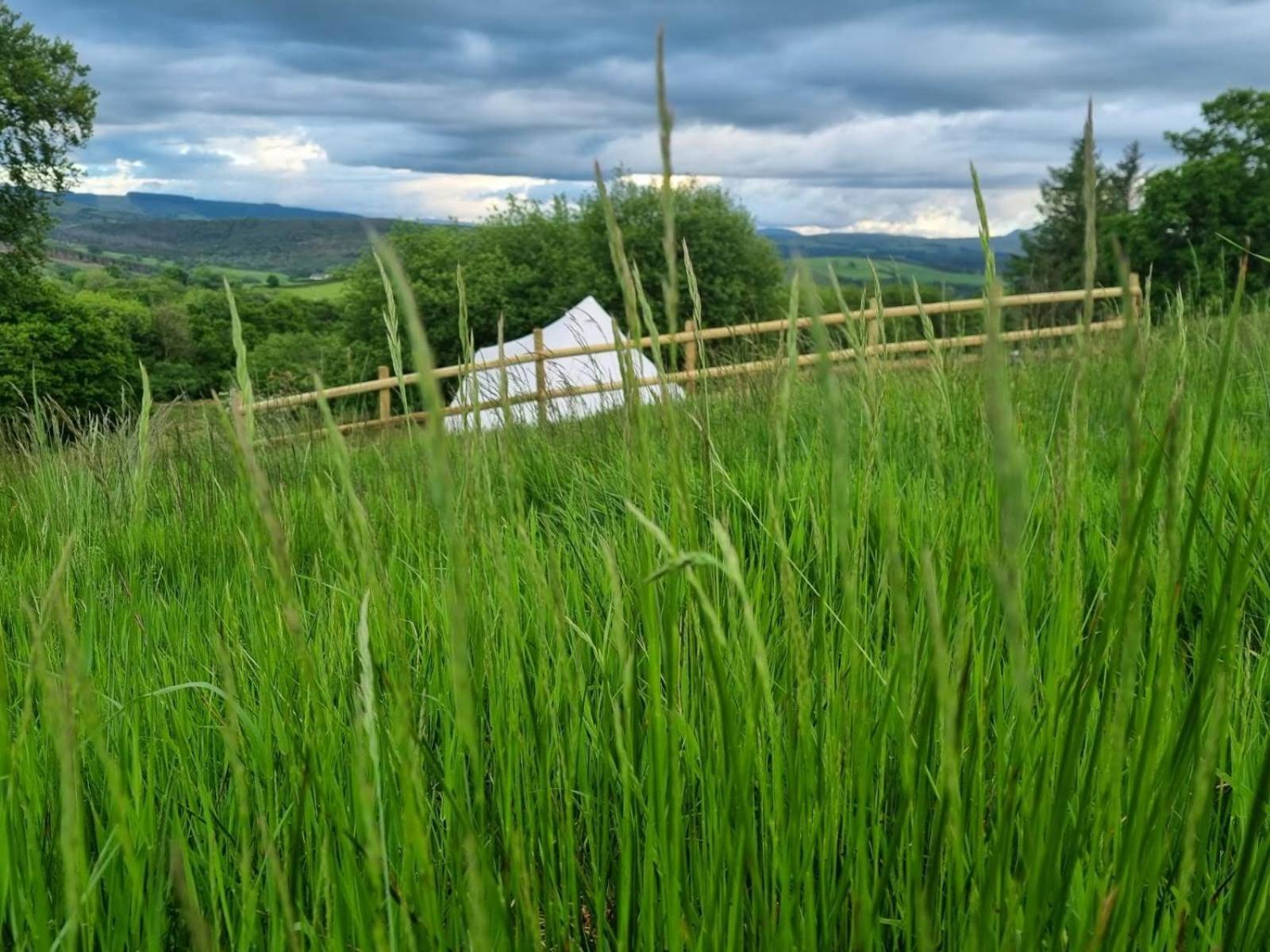 فندق Calon Y Goedwig Glamping لياندوفيري المظهر الخارجي الصورة